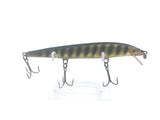 Minnow Black with Gold Stripes Color