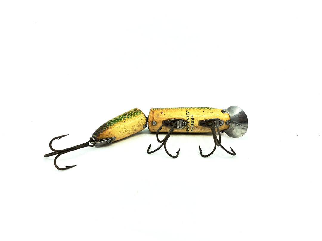 Heddon Jointed Vamp L Perch Color