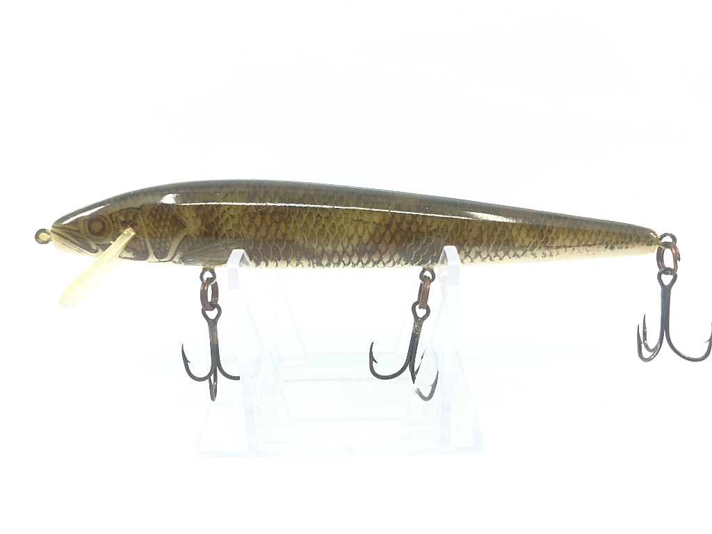 Rebel Floater Walleye Design Minnow