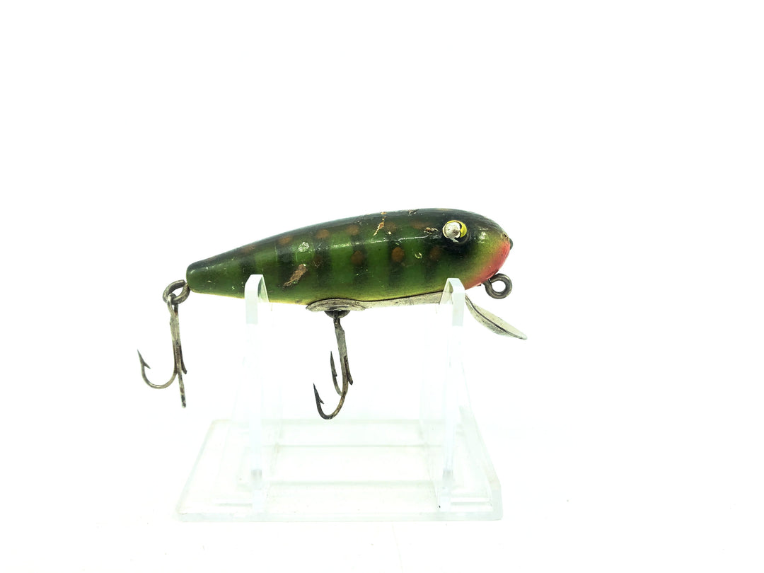 Paw Paw River Go-Getter, Perch Color