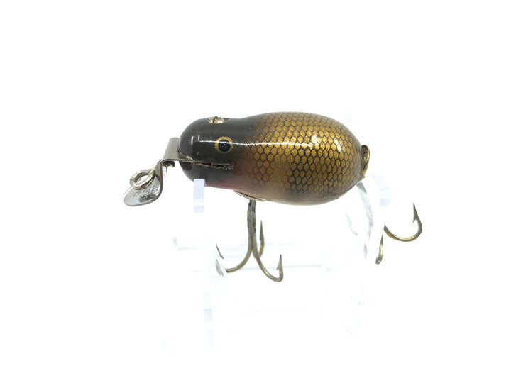 Creek Chub 6400 Tiny Tim Pikie Color