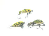 Arbogast Frog Family