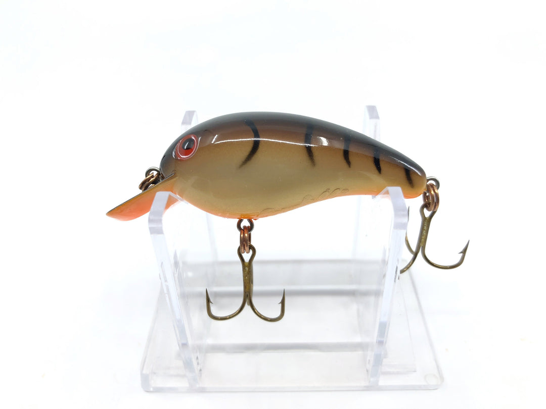 Small Size Cordell Big-O Great Color
