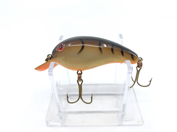 Small Size Cordell Big-O Great Color
