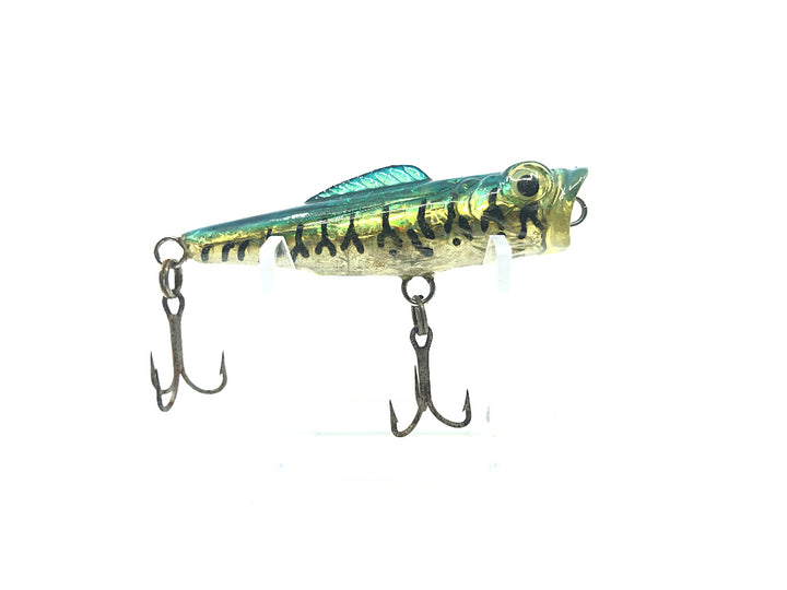 Realistic Blue and Gold Tiger Finned Popper