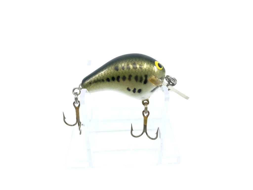 Bagley Kill'r B1 KB1-LB4 Little Bass on White Color