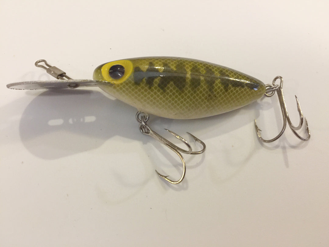Storm Thin Fin Hot 'N Tot Bass Pattern