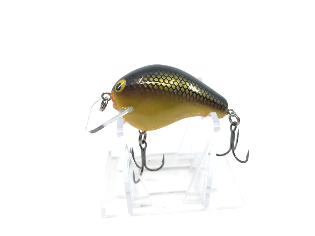 Bagley B1 Square Bill Gold Tennessee Shad Color BB1-GST New in Box OLD STOCK2