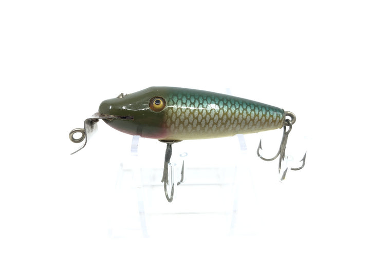 Creek Chub River Scamp 4300 Chub Scale Color