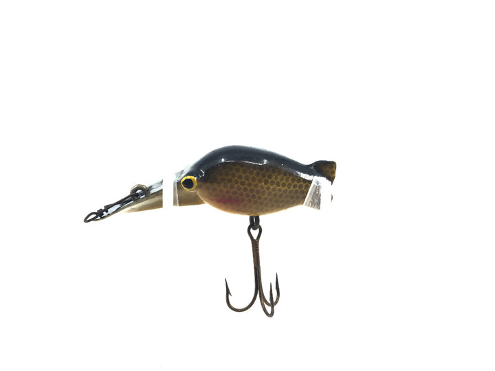 Luhr-Jensen Hot Shot M3 Gold Scale Black Back