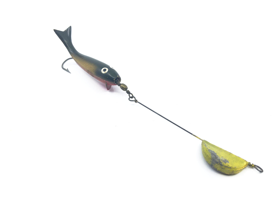 P & K Whirl A Way Golden Shiner Color