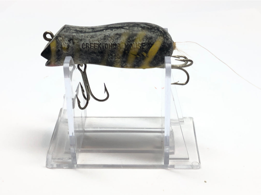 Creek Chub Mouse Tiger Stripes
