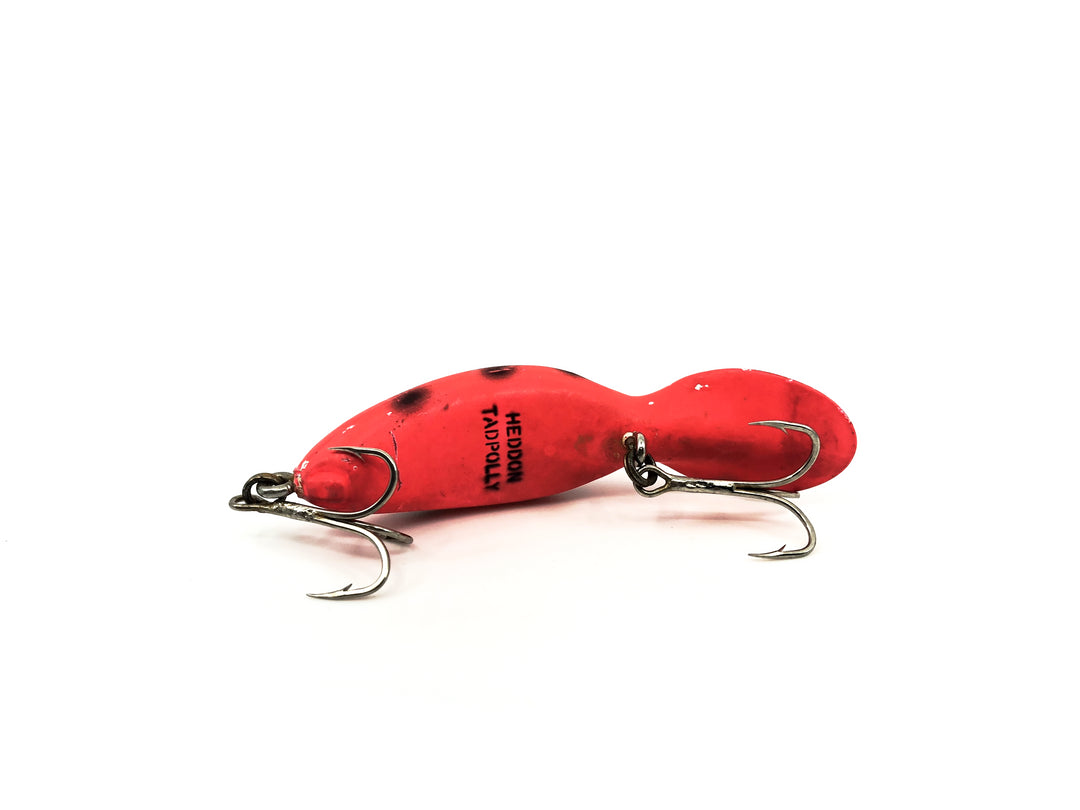 Heddon Clatter Tad Tadpolly Spook RCD Red Coach Dog Color