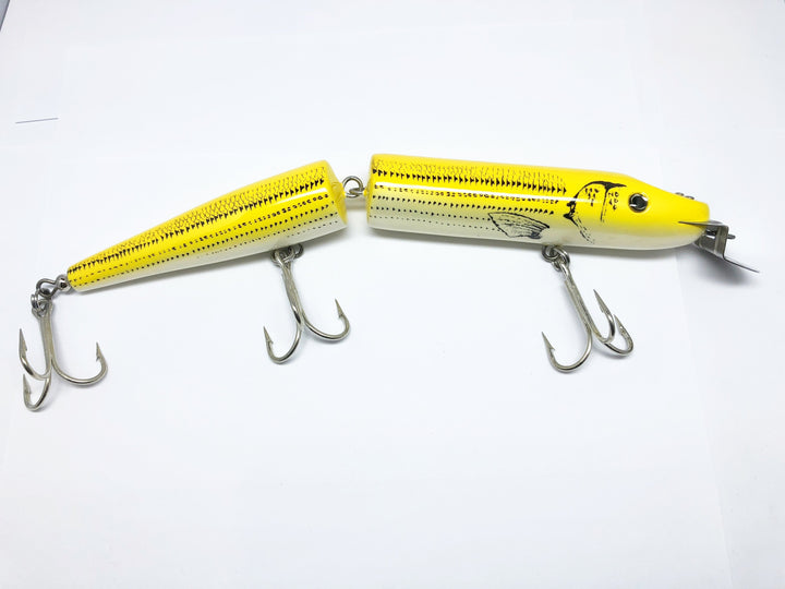 Creek Chub Giant Jointed Pikie Yellow Croaker Color
