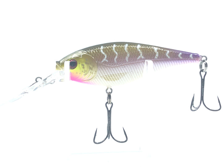 Berkley Frenzy FSH7-M Pink & Gold