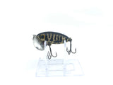 Arbogast Mini Jitterbug Coachdog Color