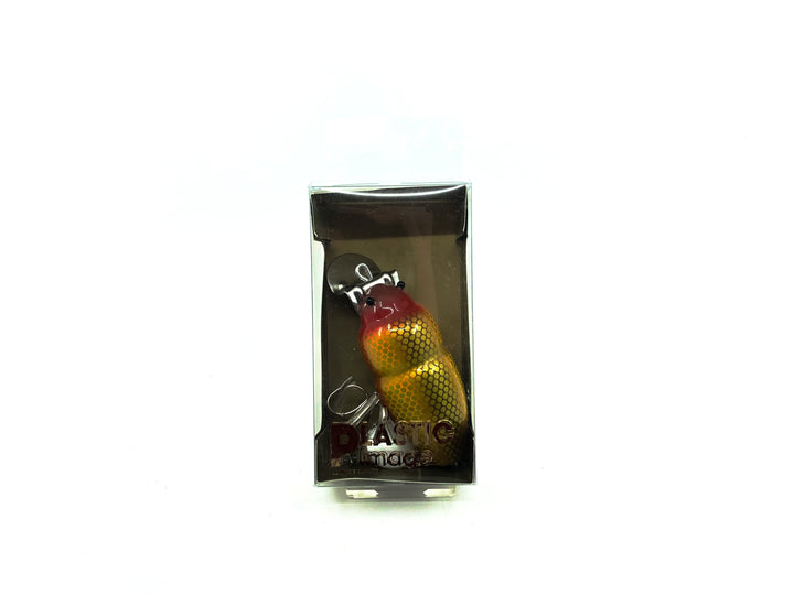 Plastic Image Scarab Beetle Creek Chub Imitation New in Box Gold Red Scale