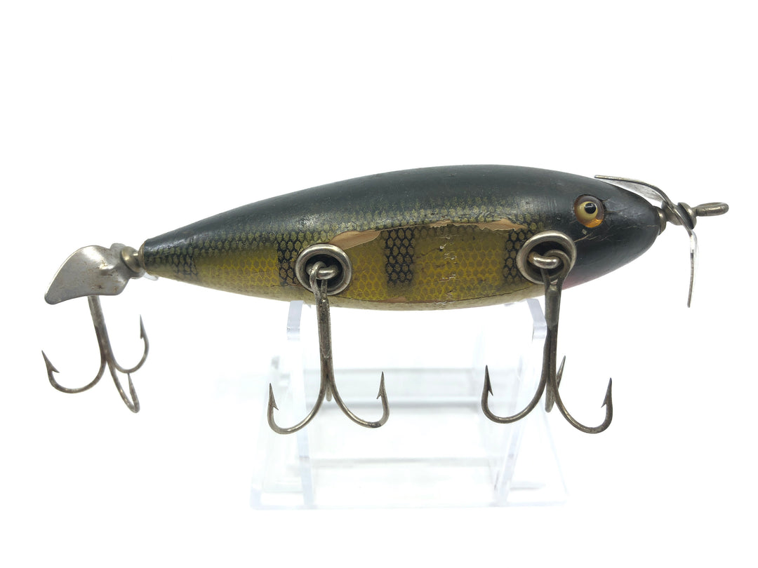 Creek Chub Injured Minnow Perch Color