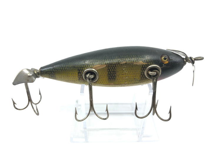 Creek Chub Injured Minnow Perch Color
