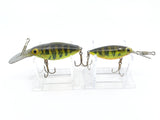 Storm Thin Fin Hot 'N Tot Perch Color Lot of Two