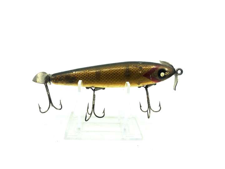 Paw Paw Aristocrat Shiner 8600, Pikie Scale Color