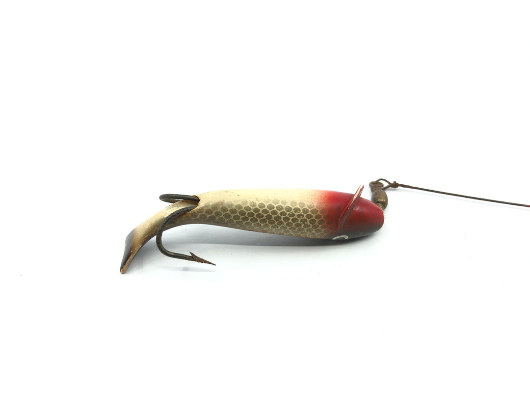 P & K Whirl A Way Golden Shiner Color