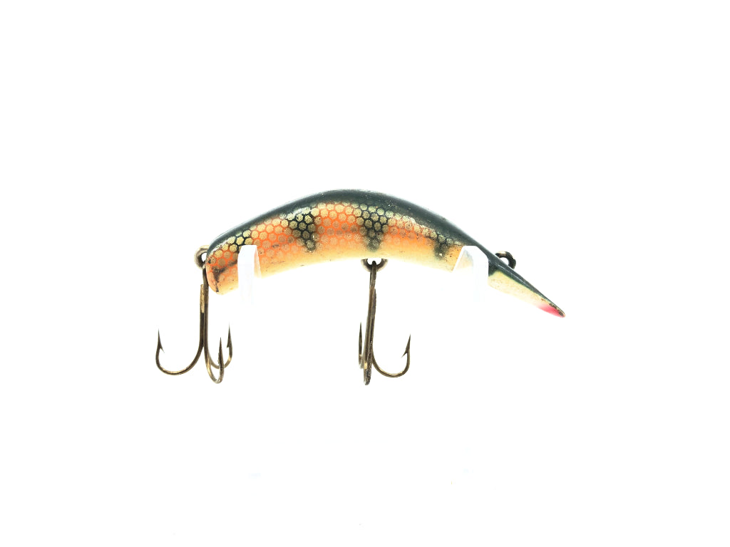 Lazy Ike 2 Perch Color