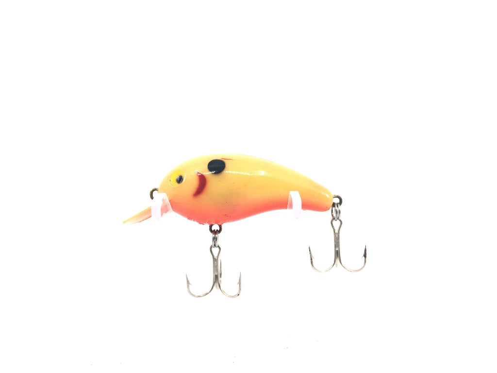 Cordell Big-O Bone Color