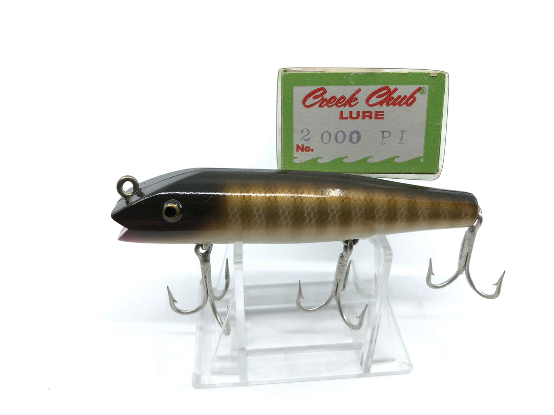 Creek Chub Darter with Box 2000 PI Pike Color