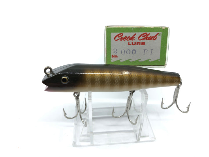 Creek Chub Darter with Box 2000 PI Pike Color