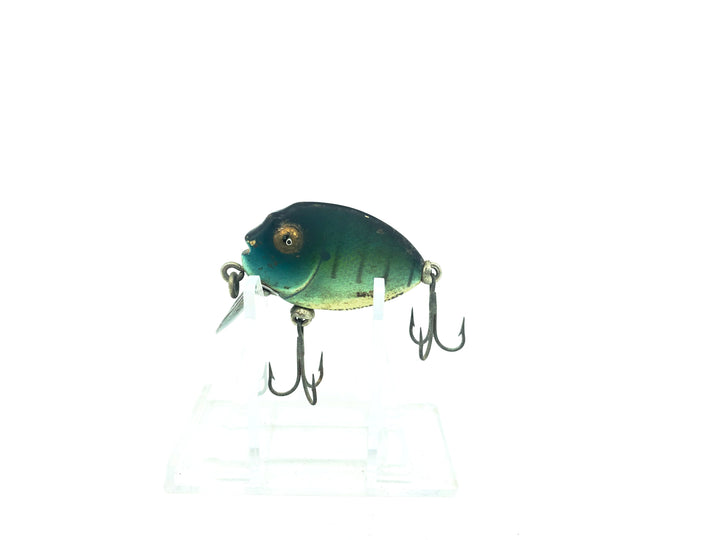 Heddon Tiny Punkinseed BGL Bluegill Color