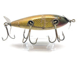 Creek Chub 1500 Injured Minnow Golden Shiner Color 1504