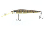 Smithwick Suspending Rogue Brown Perch 