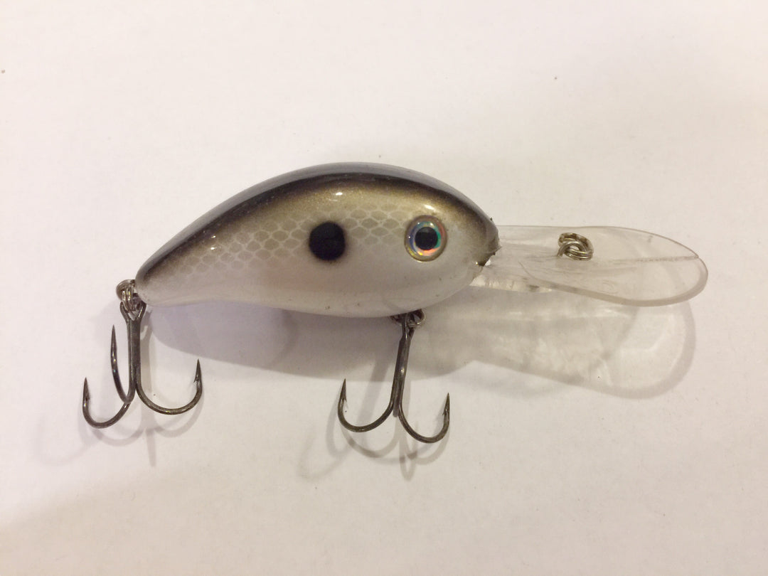 Strike King 3XD Lure.  Great crankbait!