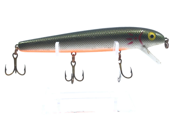 Cordell Redfin Shad