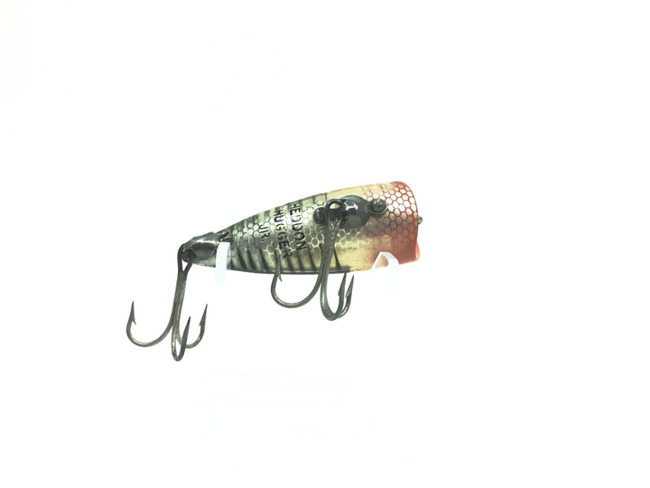 Heddon Chugger Spook Jr. 9520 XRS Silver Shore