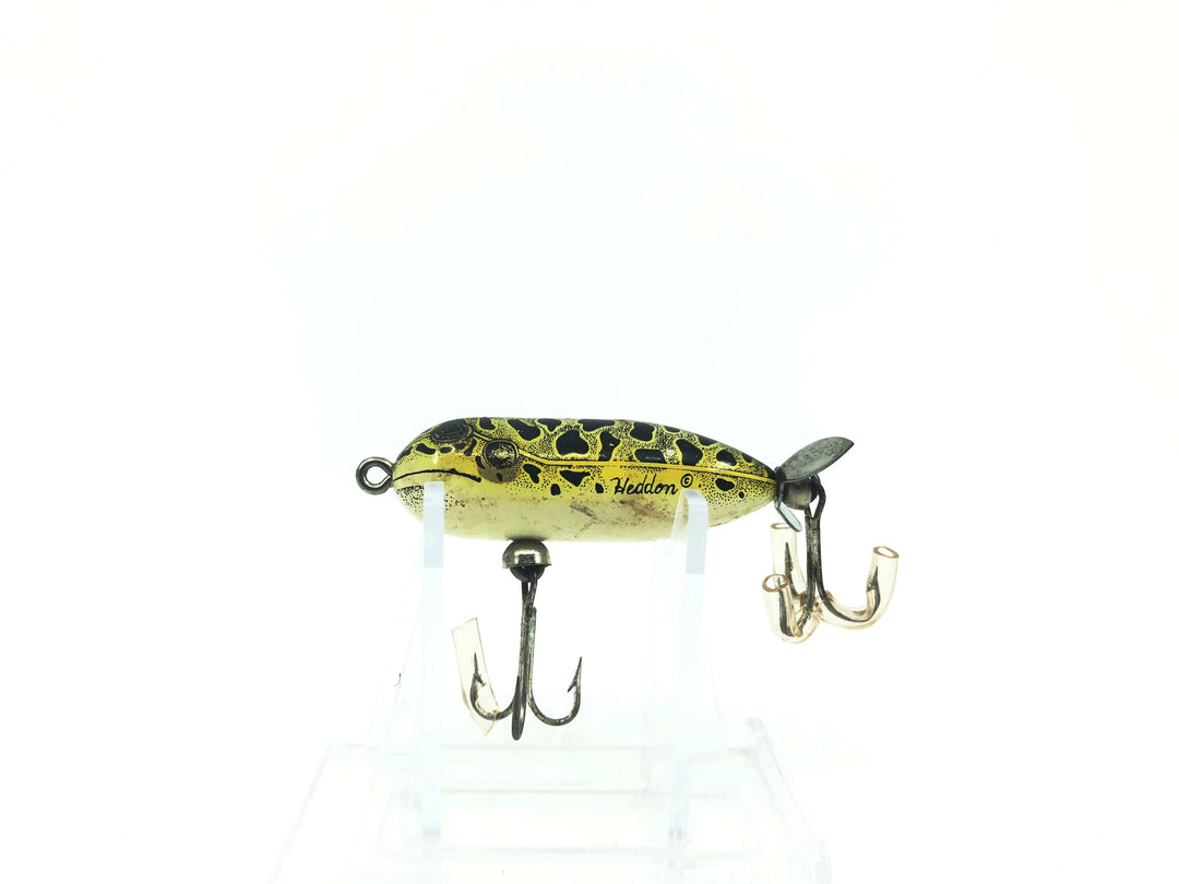 Heddon Tiny Torpedo NF Leopard Frog Color
