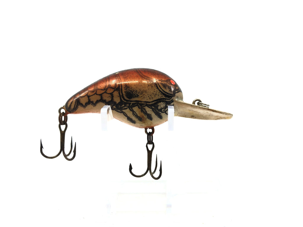 Bomber Model Fat A 5F XC4 Metachrome Dark Brown Crawdad