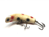 Helin Flatfish SPS White with Black and Red Spots