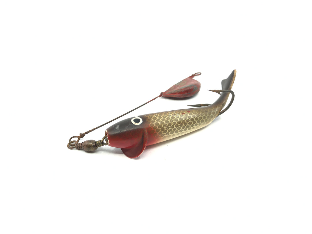 P & K Whirl A Way Golden Shiner Color