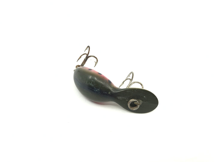 Heddon Clatter Tad Rainbow Trout Color