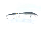 Two Black and Silver Minnow