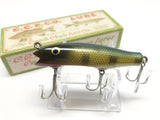 Creek Chub 8000 Midget Darter in Perch Color Concave Belly 8001 CB with Box