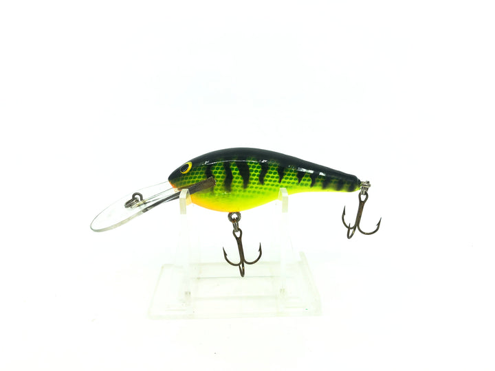 Lee Sisson Diving Little Ticker Fire Tiger Color
