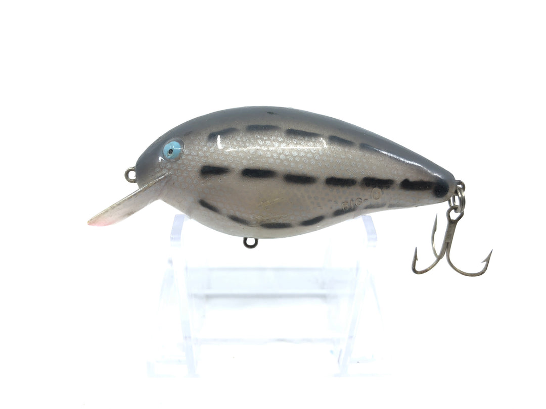 Cordell Big-O Gray with Black Dashes Color