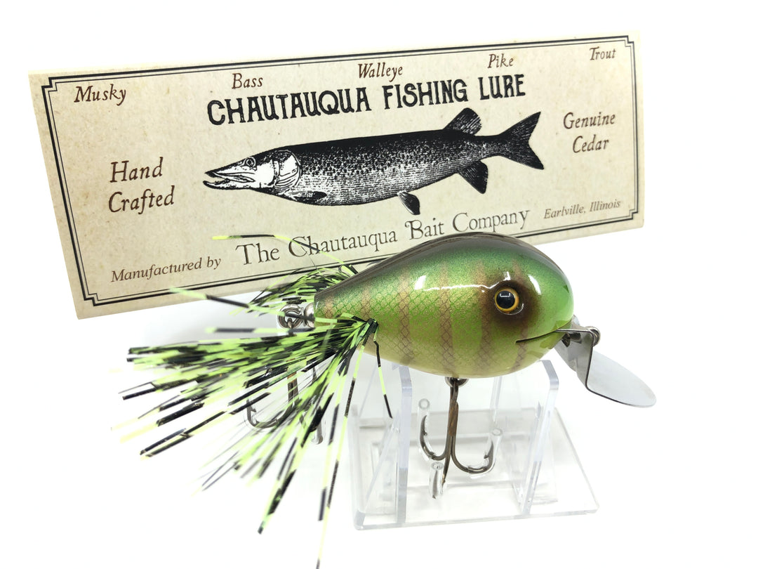 Chautauqua Custom Dingbat in Green Perch Color