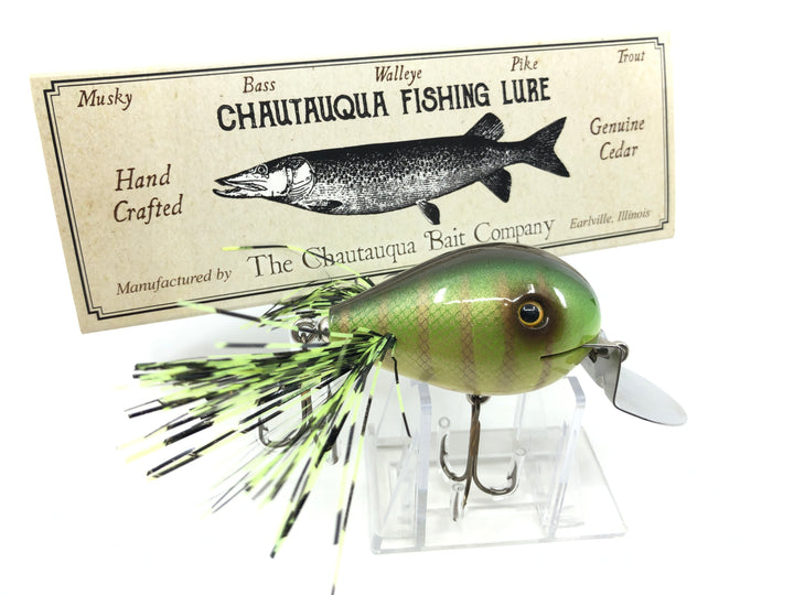 Chautauqua Custom Dingbat in Green Perch Color