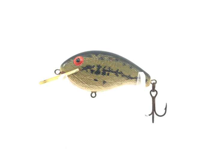 Rebel Wee R Ole' Bass Color