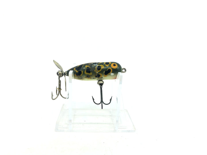 Tiny Top Frog Color