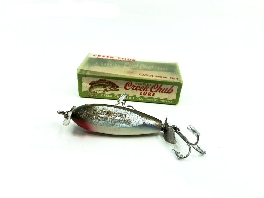 Creek Chub Baby Injured Minnow, 1603 Silver Shiner Color with Box